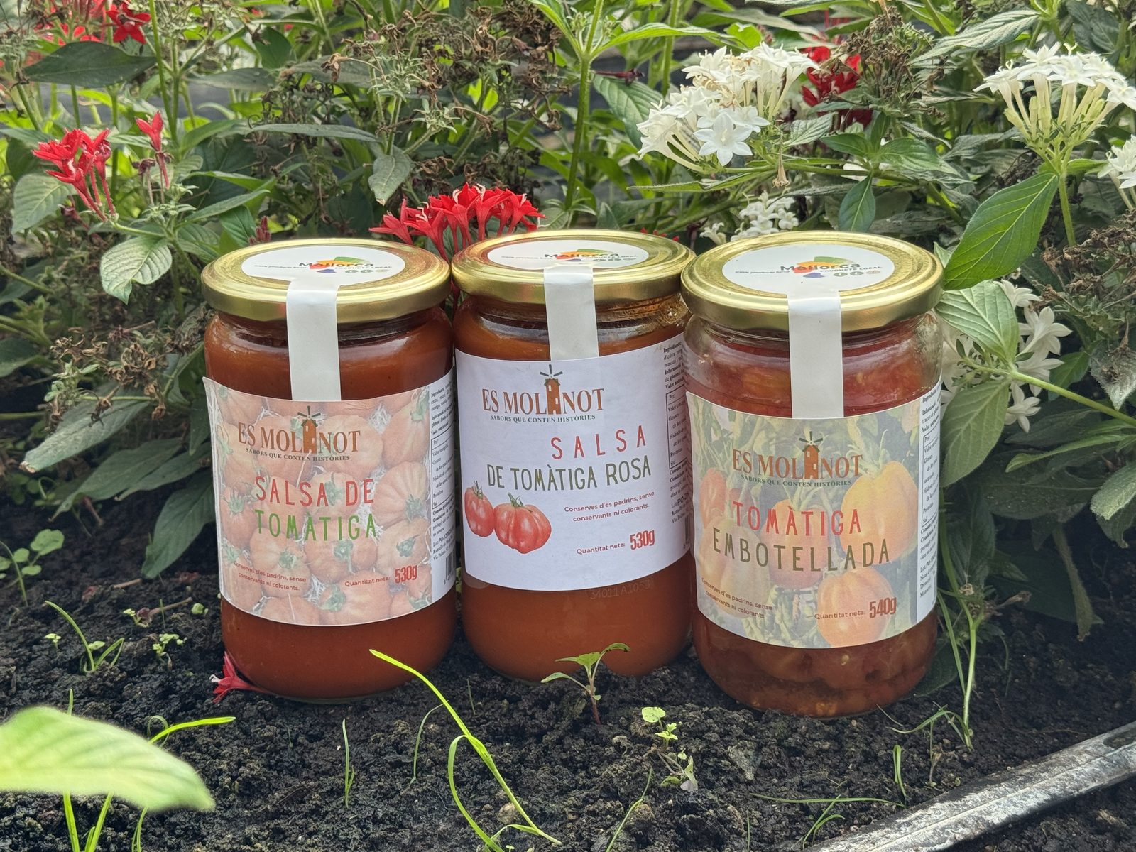 Salses de tomàtiga d'Es Molinot entre flors